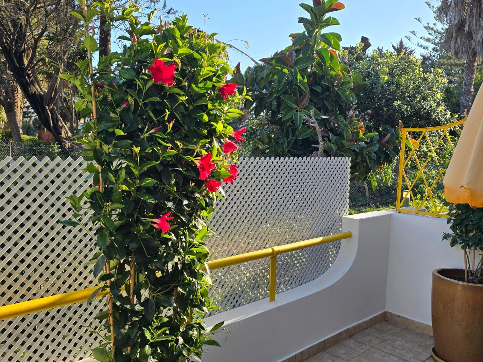 Apartamento Victoria Vilamoura Exterior photo