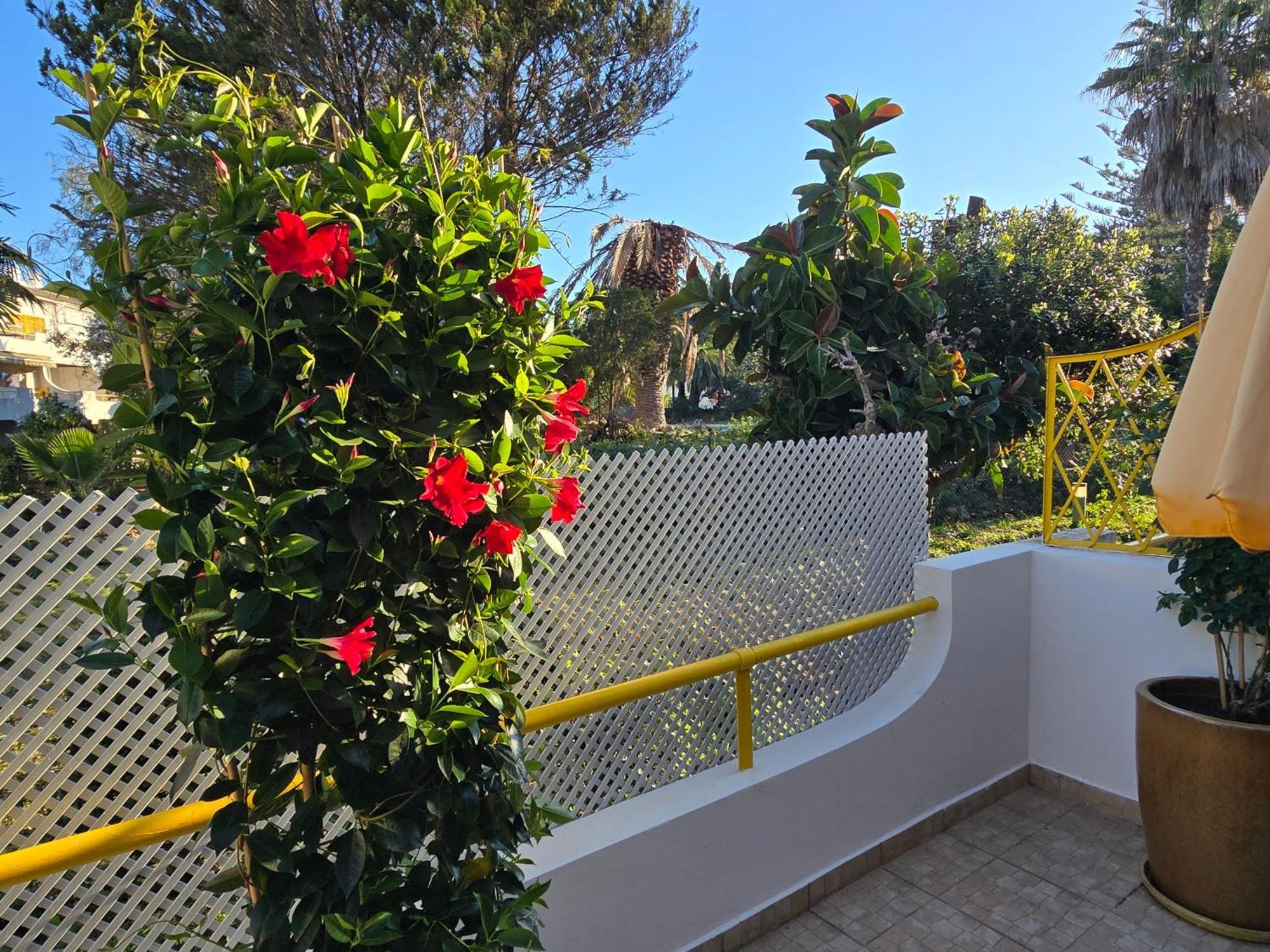 Apartamento Victoria Vilamoura Exterior photo